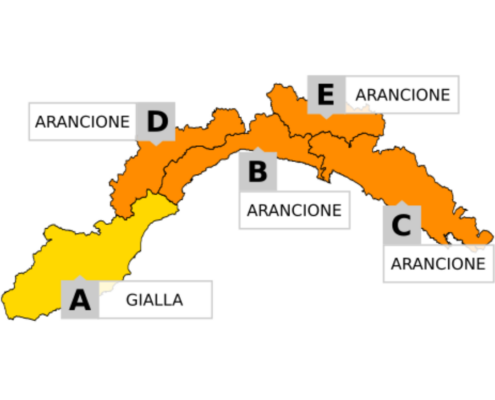allerta meteo